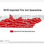 2018 IFA Quarantine Map