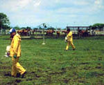 Exterminators wearing protective clothing