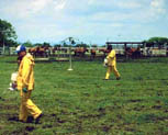 Exterminators wearing protective clothing