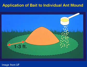 Application of bait on ant mount
